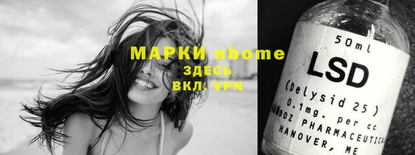 соль ск Козловка