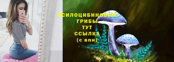 соль ск Козловка