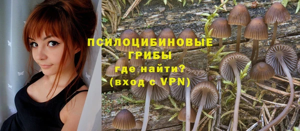 MDMA Кинешма