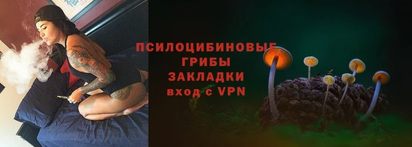 прущие крисы Кодинск
