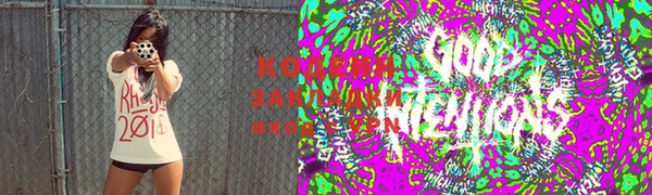 соль ск Козловка