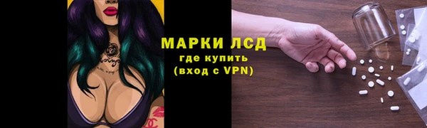 соль ск Козловка