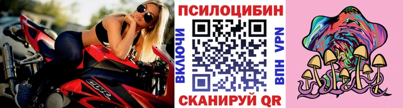 Псилоцибиновые грибы MAGIC MUSHROOMS  купить наркотики цена  Кувшиново 